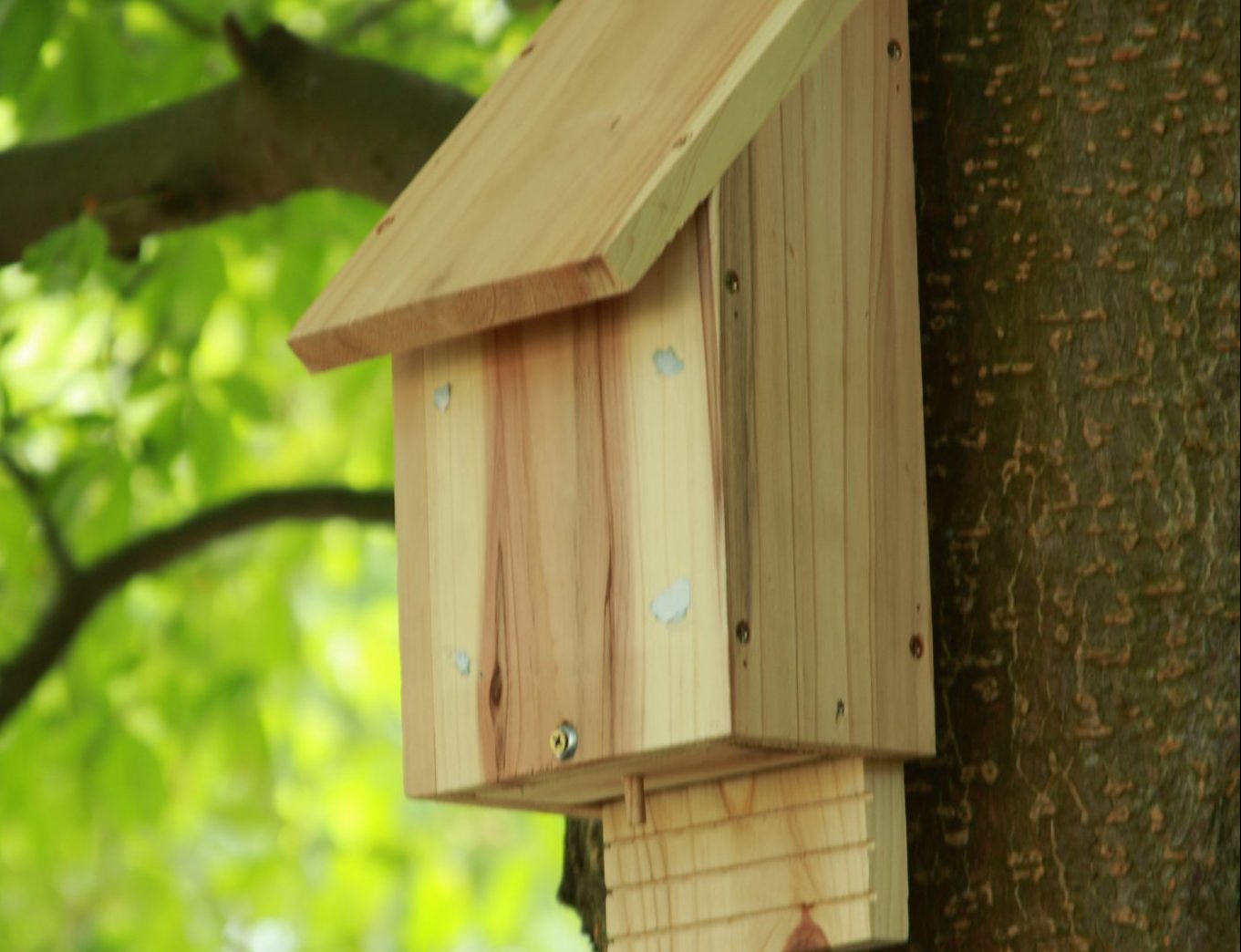 Tuto pour fabriquer des nichoirs à chauves-souris - Ville de Launaguet